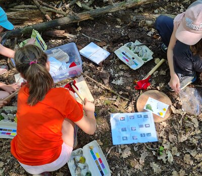 Kinder arbeiten am Projekt im Wald