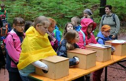Kinder erleben den Wald mit allen Sinnen