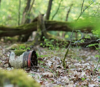 Müll im Wald