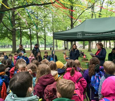 Baumfest im Bonner Hofgarten 2022. (Foto: Noemi Loi)