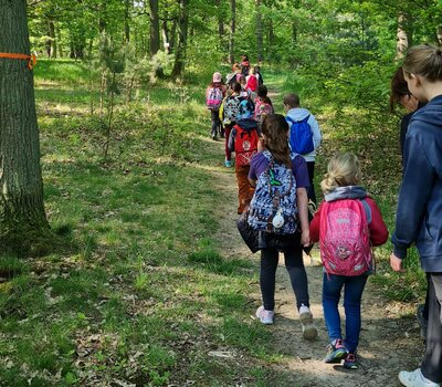 Waldspaziergang einer Gruppe von Kindern