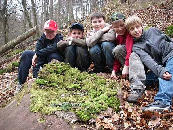 Gruppe von Kindern im Wald