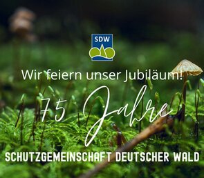 75 Jahre Schutzgemeinschaft Deutscher Wald (Abbildung)