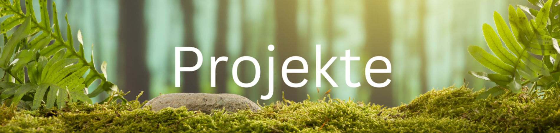 Waldboden mit der Aufschrift "Projekte"