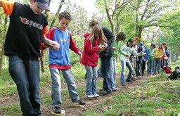 Kinder balancieren auf Baumstämmen